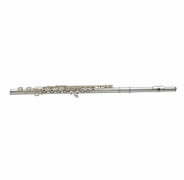 Flute Lessons