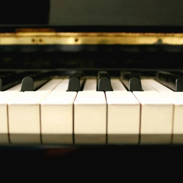 Choosing a Beginner Piano on a Budget